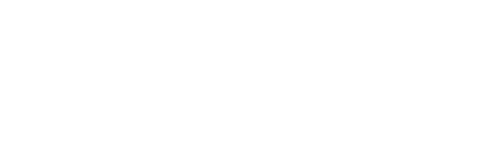 StudentVIP white logo